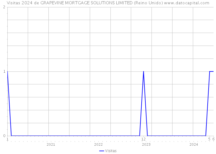 Visitas 2024 de GRAPEVINE MORTGAGE SOLUTIONS LIMITED (Reino Unido) 