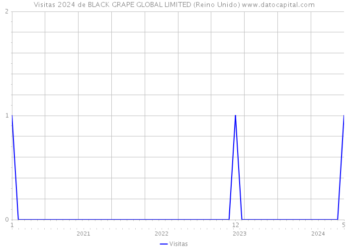 Visitas 2024 de BLACK GRAPE GLOBAL LIMITED (Reino Unido) 
