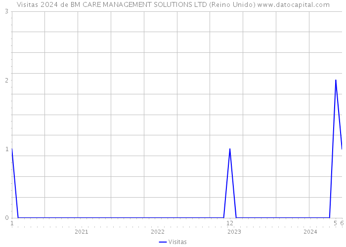 Visitas 2024 de BM CARE MANAGEMENT SOLUTIONS LTD (Reino Unido) 