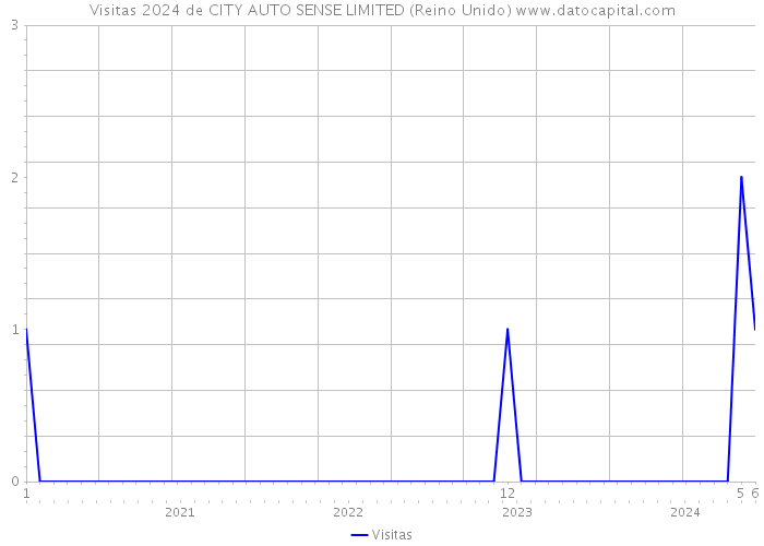 Visitas 2024 de CITY AUTO SENSE LIMITED (Reino Unido) 