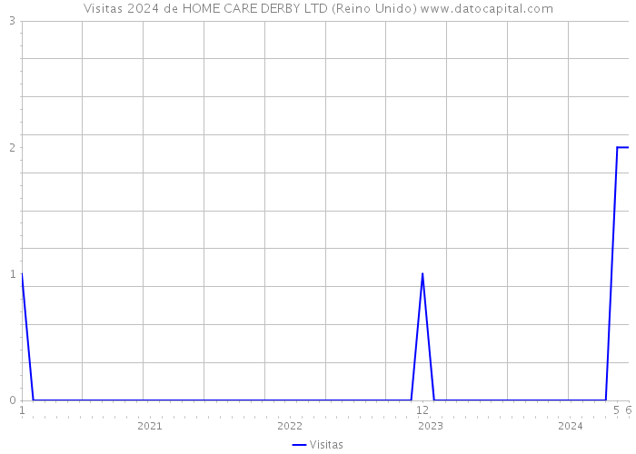 Visitas 2024 de HOME CARE DERBY LTD (Reino Unido) 