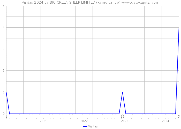 Visitas 2024 de BIG GREEN SHEEP LIMITED (Reino Unido) 