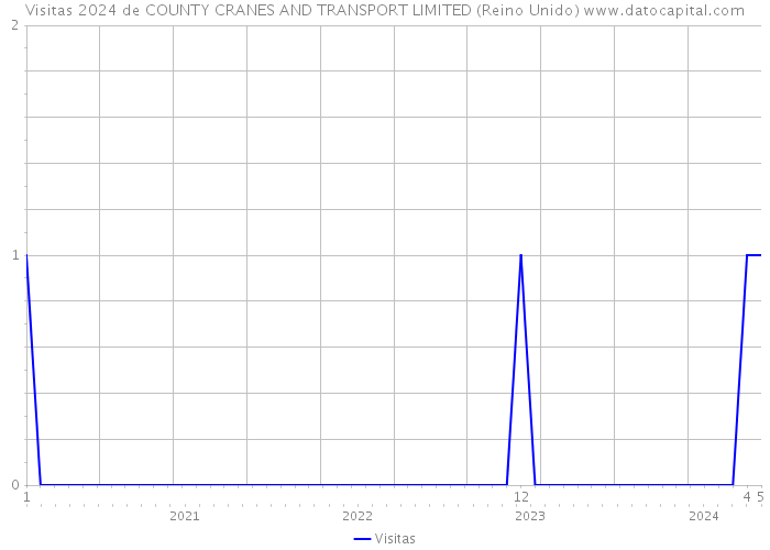 Visitas 2024 de COUNTY CRANES AND TRANSPORT LIMITED (Reino Unido) 