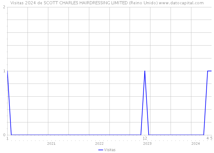 Visitas 2024 de SCOTT CHARLES HAIRDRESSING LIMITED (Reino Unido) 