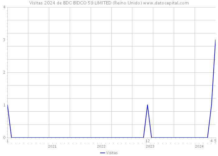 Visitas 2024 de BDC BIDCO 59 LIMITED (Reino Unido) 