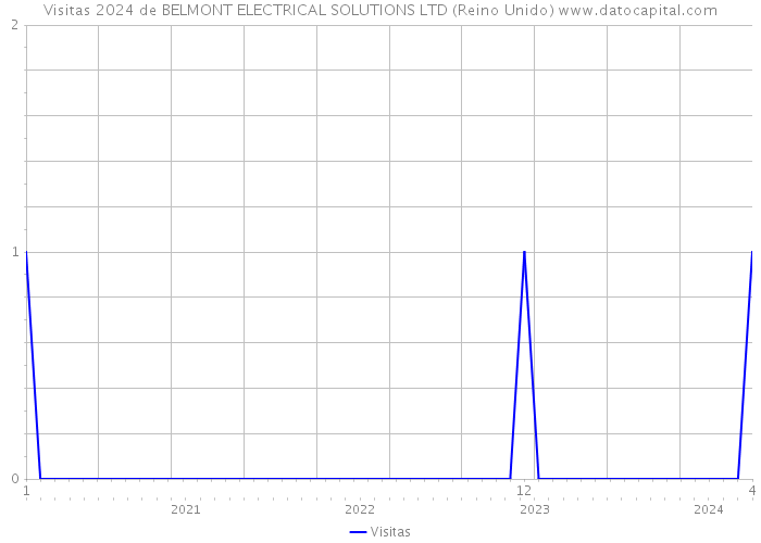 Visitas 2024 de BELMONT ELECTRICAL SOLUTIONS LTD (Reino Unido) 