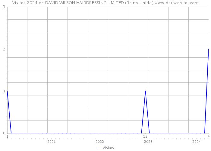 Visitas 2024 de DAVID WILSON HAIRDRESSING LIMITED (Reino Unido) 