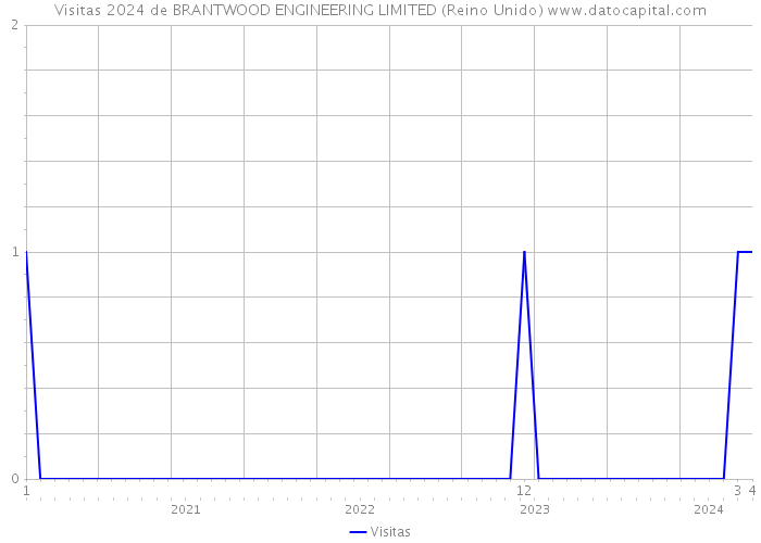 Visitas 2024 de BRANTWOOD ENGINEERING LIMITED (Reino Unido) 