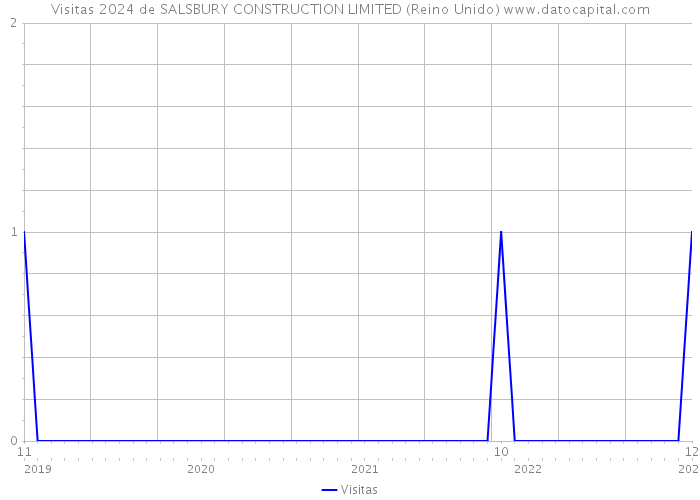 Visitas 2024 de SALSBURY CONSTRUCTION LIMITED (Reino Unido) 