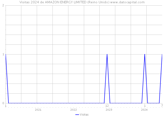 Visitas 2024 de AMAZON ENERGY LIMITED (Reino Unido) 