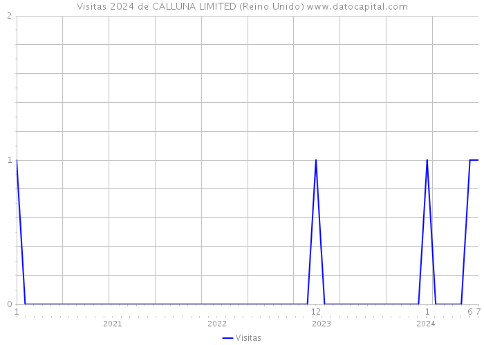 Visitas 2024 de CALLUNA LIMITED (Reino Unido) 