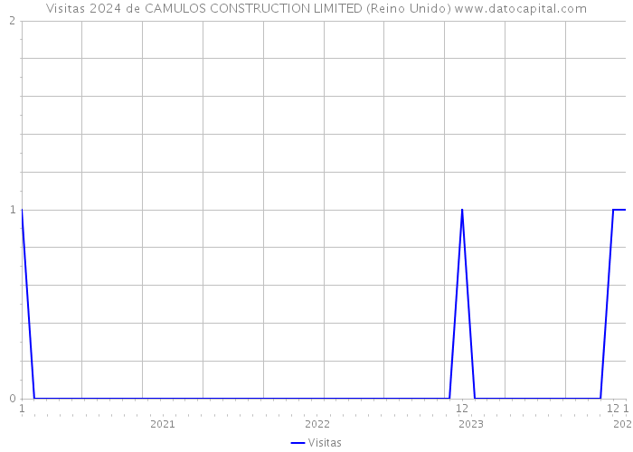 Visitas 2024 de CAMULOS CONSTRUCTION LIMITED (Reino Unido) 