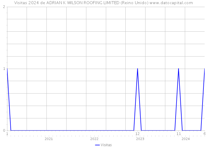 Visitas 2024 de ADRIAN K WILSON ROOFING LIMITED (Reino Unido) 