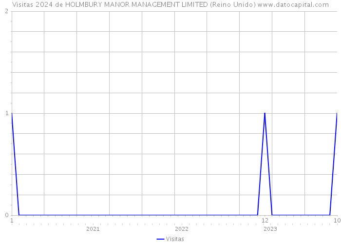 Visitas 2024 de HOLMBURY MANOR MANAGEMENT LIMITED (Reino Unido) 