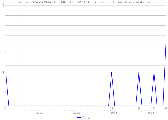 Visitas 2024 de SMART BRAIN FACTORY LTD (Reino Unido) 