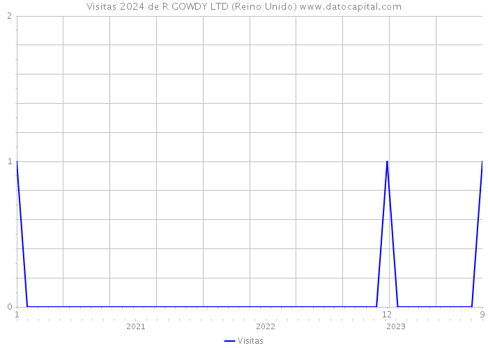 Visitas 2024 de R GOWDY LTD (Reino Unido) 