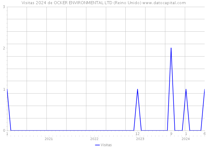 Visitas 2024 de OCKER ENVIRONMENTAL LTD (Reino Unido) 