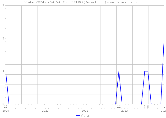 Visitas 2024 de SALVATORE CICERO (Reino Unido) 