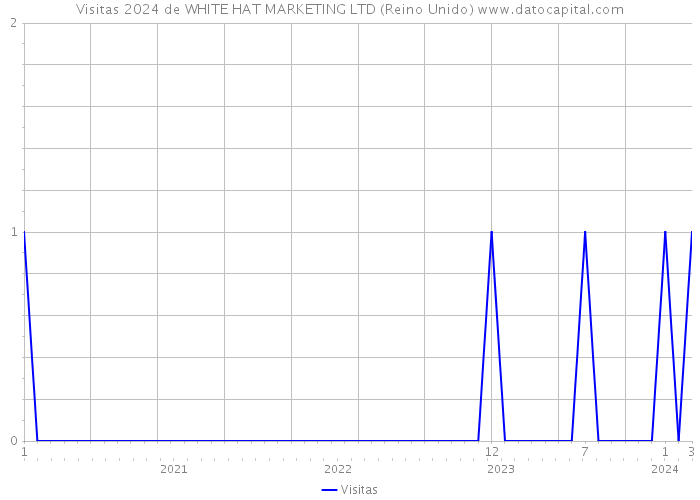 Visitas 2024 de WHITE HAT MARKETING LTD (Reino Unido) 