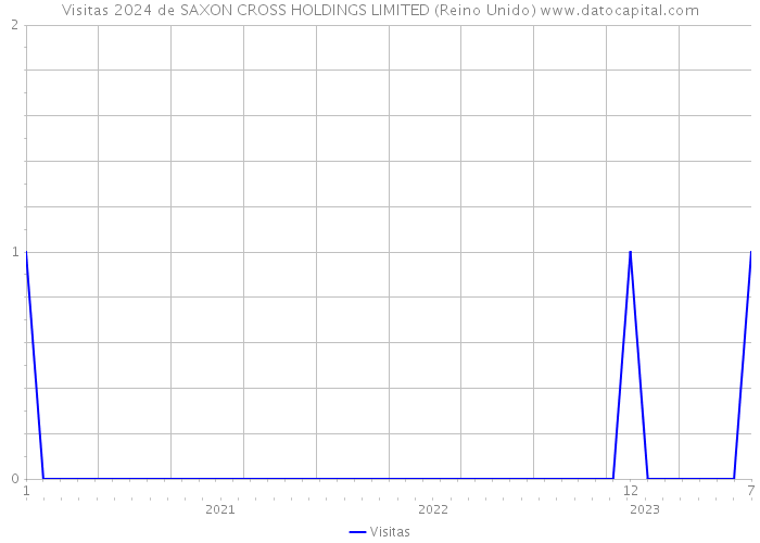 Visitas 2024 de SAXON CROSS HOLDINGS LIMITED (Reino Unido) 
