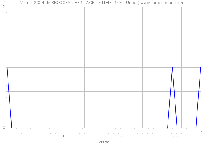 Visitas 2024 de BIG OCEAN HERITAGE LIMITED (Reino Unido) 