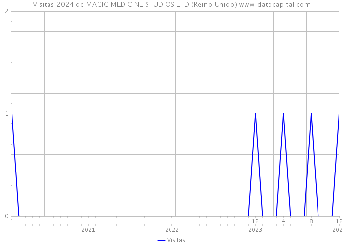 Visitas 2024 de MAGIC MEDICINE STUDIOS LTD (Reino Unido) 