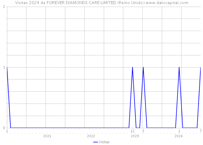 Visitas 2024 de FOREVER DIAMONDS CARE LIMITED (Reino Unido) 