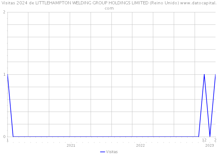 Visitas 2024 de LITTLEHAMPTON WELDING GROUP HOLDINGS LIMITED (Reino Unido) 