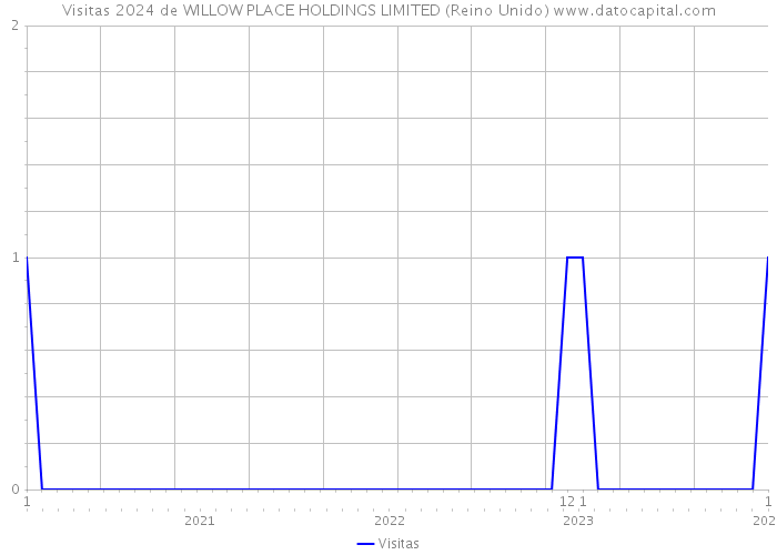Visitas 2024 de WILLOW PLACE HOLDINGS LIMITED (Reino Unido) 