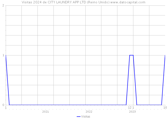 Visitas 2024 de CITY LAUNDRY APP LTD (Reino Unido) 