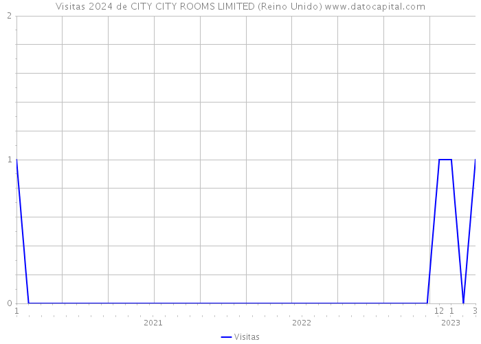 Visitas 2024 de CITY CITY ROOMS LIMITED (Reino Unido) 
