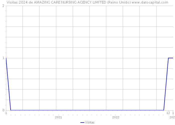 Visitas 2024 de AMAZING CARE NURSING AGENCY LIMITED (Reino Unido) 