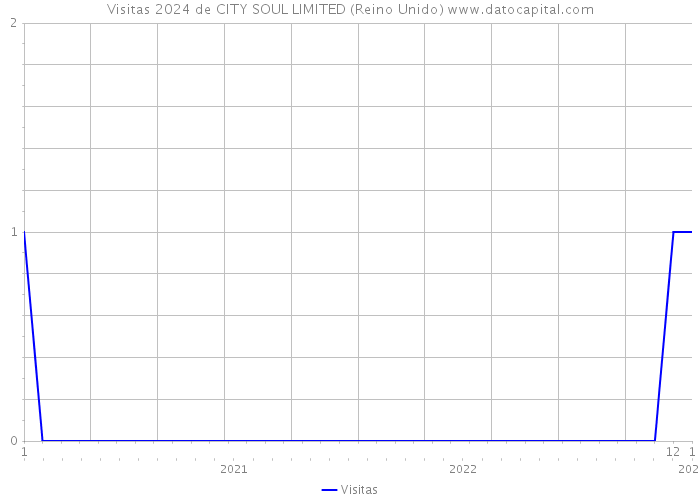 Visitas 2024 de CITY SOUL LIMITED (Reino Unido) 