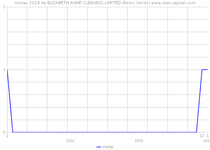 Visitas 2024 de ELIZABETH ANNE CLEANING LIMITED (Reino Unido) 