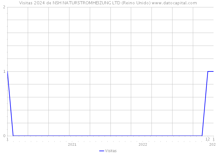 Visitas 2024 de NSH NATURSTROMHEIZUNG LTD (Reino Unido) 