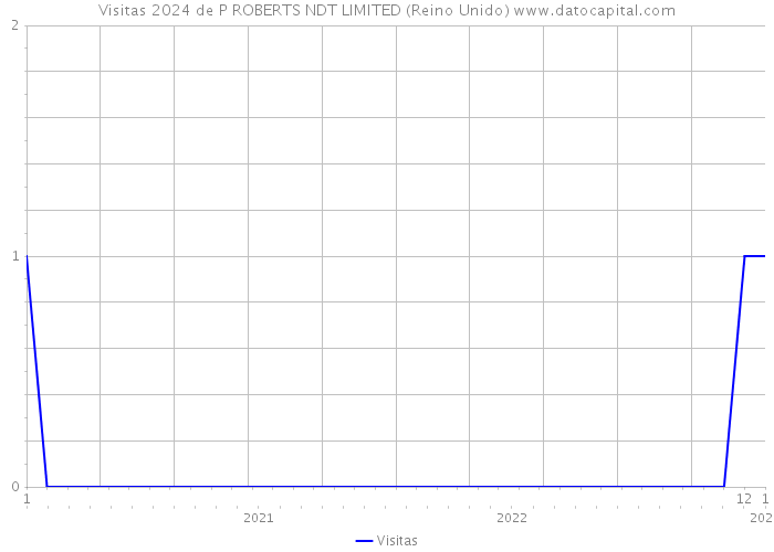 Visitas 2024 de P ROBERTS NDT LIMITED (Reino Unido) 