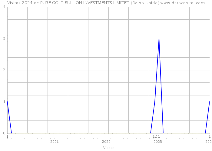 Visitas 2024 de PURE GOLD BULLION INVESTMENTS LIMITED (Reino Unido) 