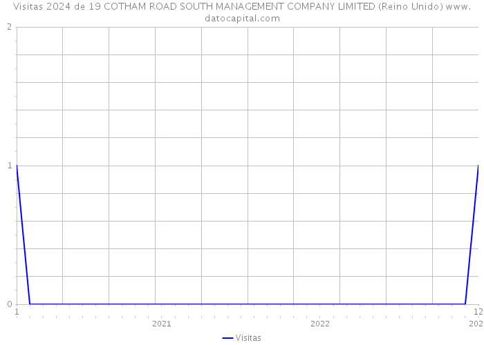 Visitas 2024 de 19 COTHAM ROAD SOUTH MANAGEMENT COMPANY LIMITED (Reino Unido) 