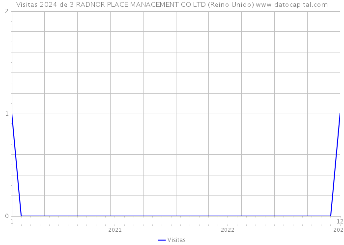 Visitas 2024 de 3 RADNOR PLACE MANAGEMENT CO LTD (Reino Unido) 