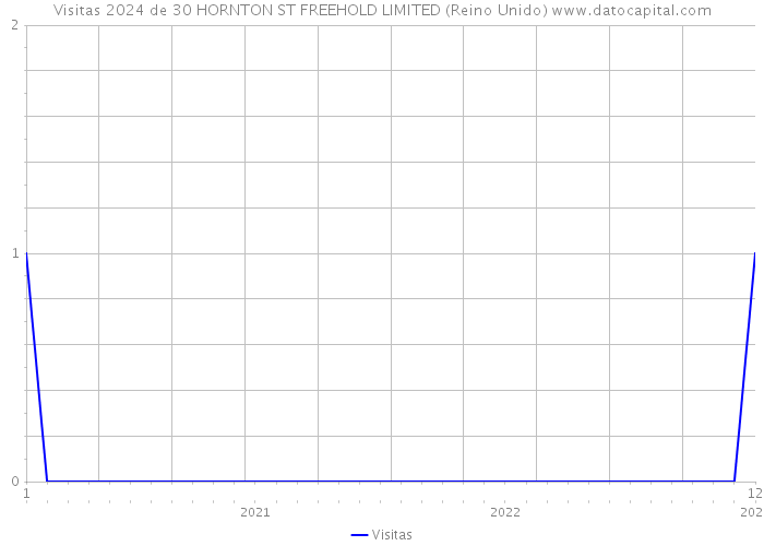 Visitas 2024 de 30 HORNTON ST FREEHOLD LIMITED (Reino Unido) 