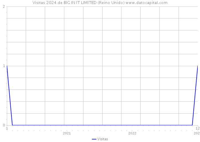 Visitas 2024 de BIG IN IT LIMITED (Reino Unido) 