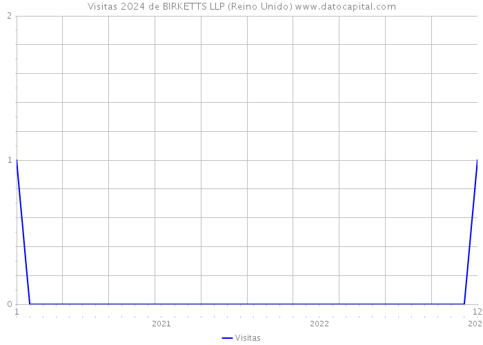 Visitas 2024 de BIRKETTS LLP (Reino Unido) 