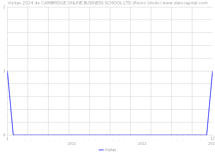 Visitas 2024 de CAMBRIDGE ONLINE BUSINESS SCHOOL LTD (Reino Unido) 