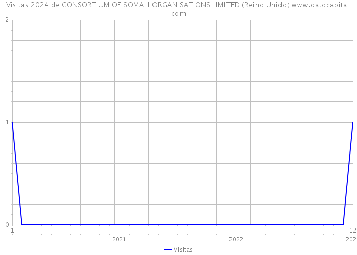 Visitas 2024 de CONSORTIUM OF SOMALI ORGANISATIONS LIMITED (Reino Unido) 