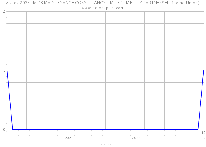 Visitas 2024 de DS MAINTENANCE CONSULTANCY LIMITED LIABILITY PARTNERSHIP (Reino Unido) 