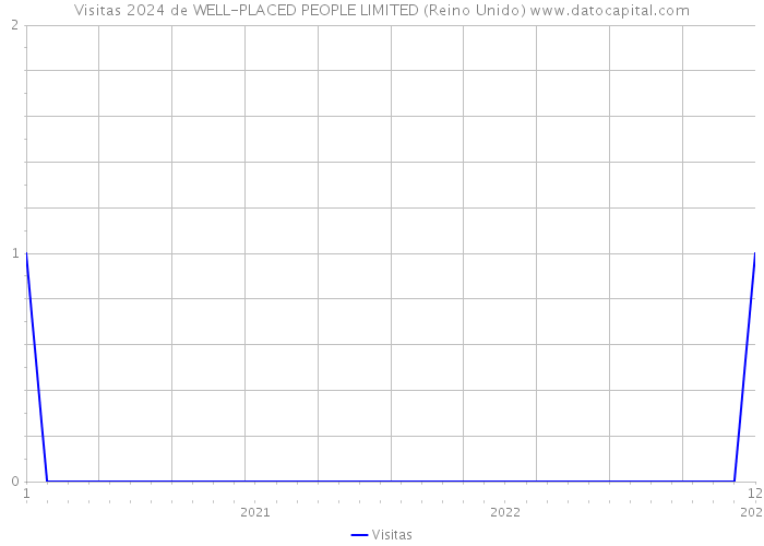 Visitas 2024 de WELL-PLACED PEOPLE LIMITED (Reino Unido) 