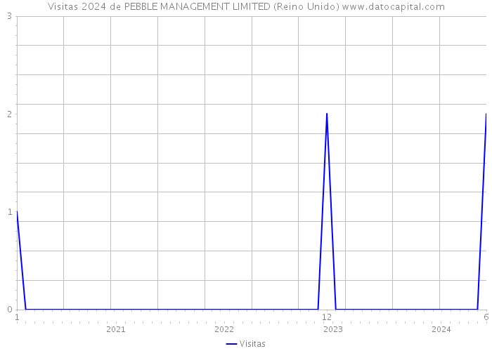 Visitas 2024 de PEBBLE MANAGEMENT LIMITED (Reino Unido) 