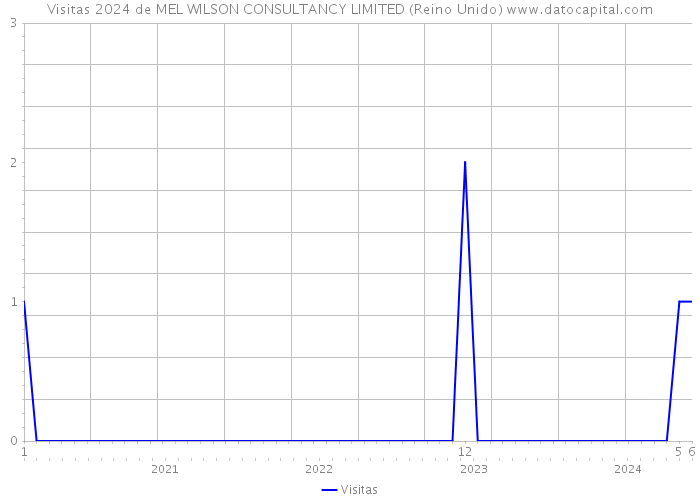 Visitas 2024 de MEL WILSON CONSULTANCY LIMITED (Reino Unido) 
