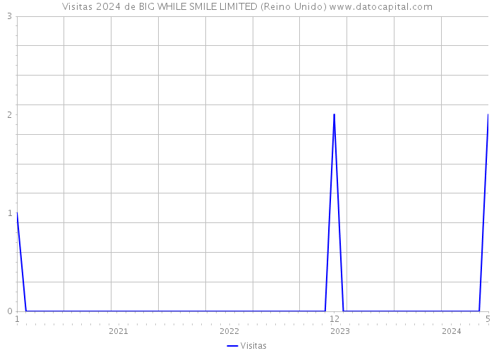 Visitas 2024 de BIG WHILE SMILE LIMITED (Reino Unido) 