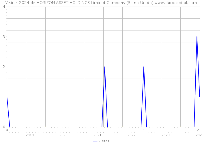Visitas 2024 de HORIZON ASSET HOLDINGS Limited Company (Reino Unido) 